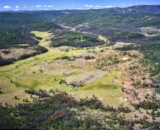 Sheep Creek after Lodgepole pine stand destruction - 1976